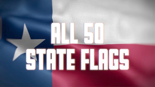 Flags of All 50 States