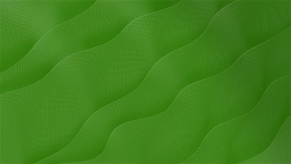 Corporate Wavy Background Green Carbon 4K