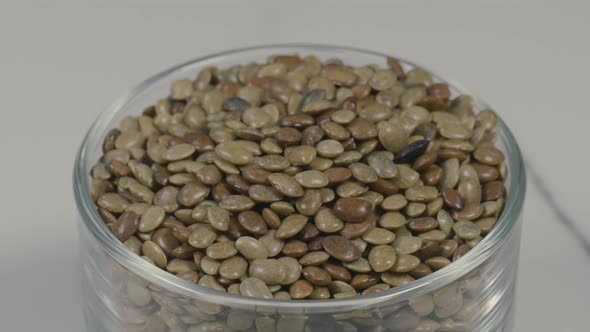 Castor Beans in Bowl