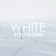 White 3D Polygons - VideoHive Item for Sale