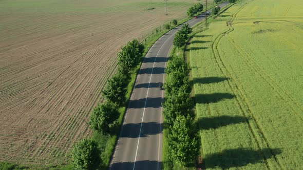 Motorcyclist Rides on Road Past Green and Brown Plantations