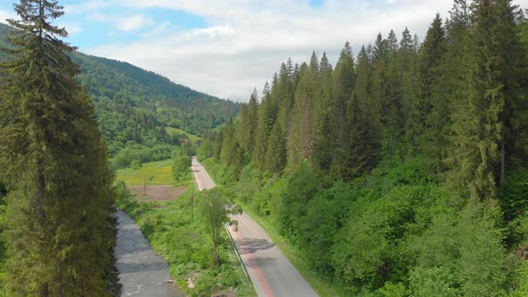 Road In The Forest