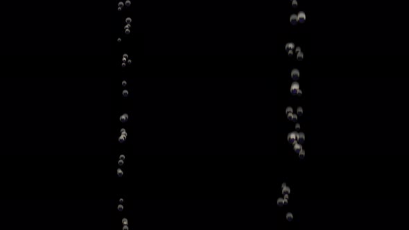 Transparent Bubbles Go Up Underwater Over Black Background alt