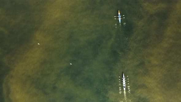 rowers aerial view in golden horn