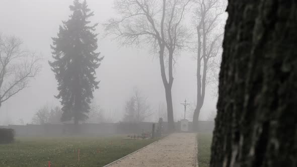 Cemetery Path in Dense Fog. Spooky Scenery on Cold Autumn Morning Revealing Shot Behind Tree