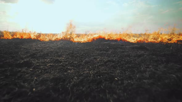 A wheat field is burning. war Ukraine, Kherson region. Arson, explosion, world hunger. Arid climate
