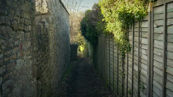 Leafy Path Between Houses In The Evening