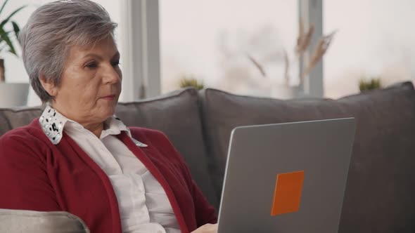 Adult Confident Woman Is Sitting on Sofa and Working By New Digital Technology Laptop.