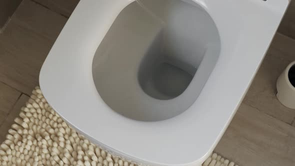 White Ceramic Toilet and Bidet at Luxury Bathroom