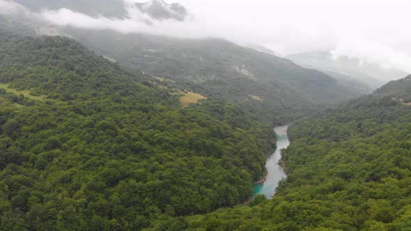 River Flowing in Dense Green Forest