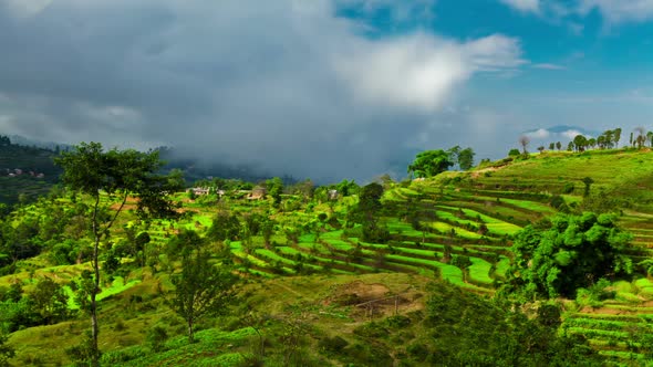 Time-lapse of a terraced, cultivated hillside in Nepal
