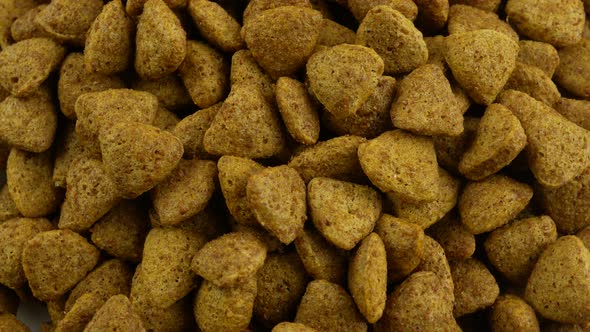 Dried dog food close up