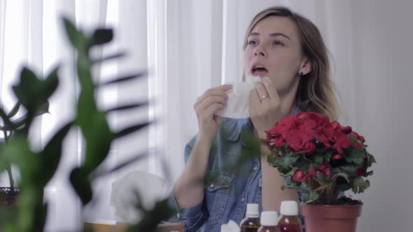 Sick Young Female Sitting at Table with Medical Drugs Sneezes and Blows Her Nose in Handkerchief Due