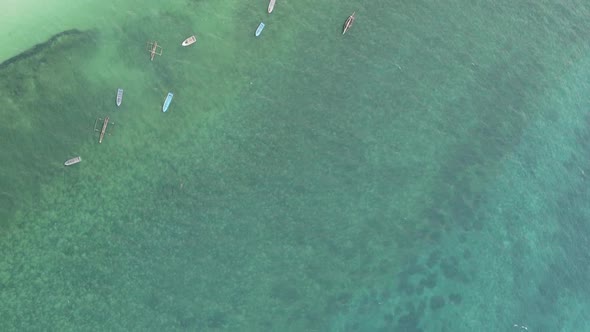 Vertical Video of the Ocean Near the Coast of Zanzibar Tanzania Aerial View