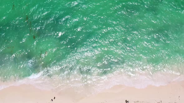 Drone View on Tropical Coastline with Palm Trees