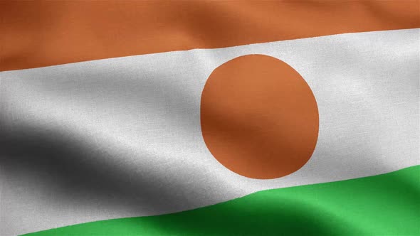 Niger Flag Seamless Closeup Waving Animation