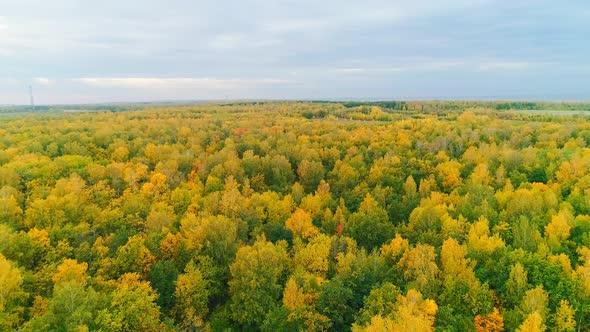 Aerial Video of Autumn Forest on a Cloudy Day