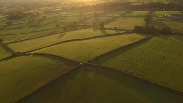 flyover of agricultural farm land with sheep grazing into morning sunrise or evening sunset