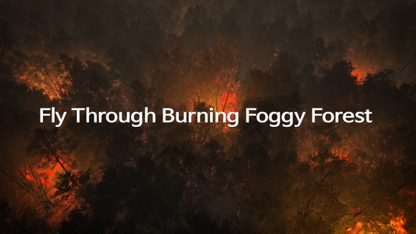 Fly Through Burning Foggy Forest