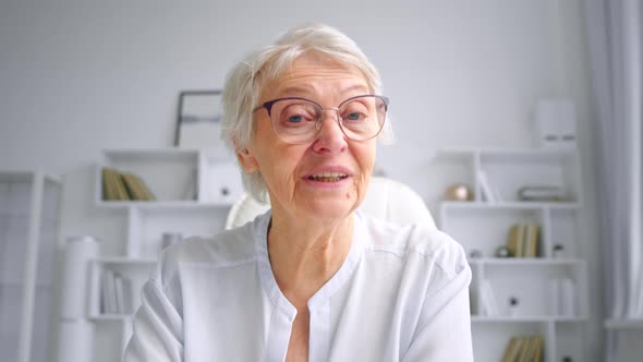 Professional businesswoman conducts video meeting talking to company workers