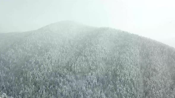 snowfall in the woods, snow falling into the mountains, view from the air, 4k video