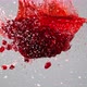 Pomegranate juice with seeds exploded and splashed in the air. Slow Motion. - VideoHive Item for Sale