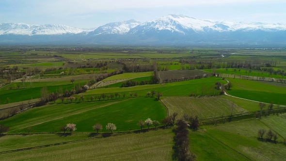 Agricultural Land