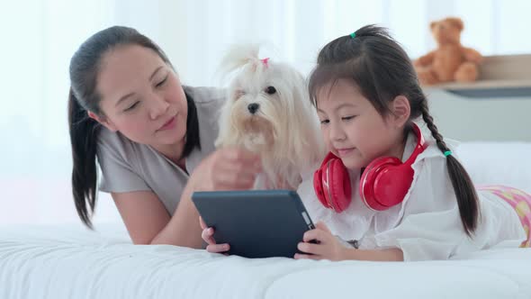 Mother and daughter lie on bed with playing tablet and enjoy with dog in bedroom with day light