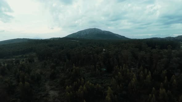 Flying over forest toward mountain