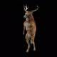 43 Deer Dancing HD - VideoHive Item for Sale