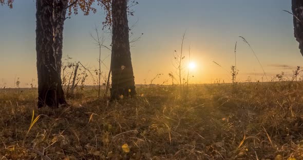 Meadow Timelapse at the Summer or Autumn Time