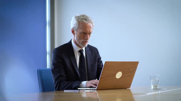 Successful manager using laptop in office