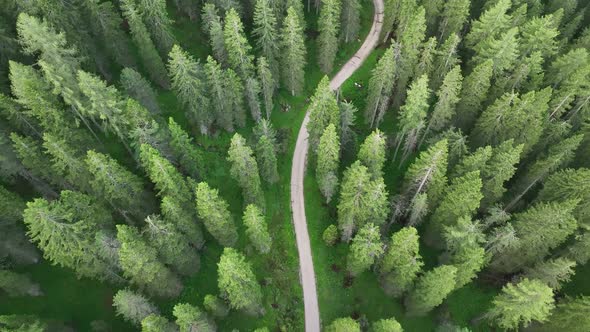 Aerial view of countryside road passing through the green forest