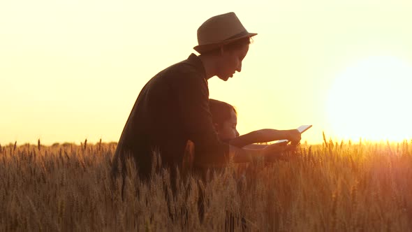 A Female Farmer Works in a Wheat Field During Sunset. Mother a Farmer Teaches His Son To the Rural