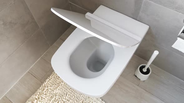 White Ceramic Toilet at Luxury Bathroom