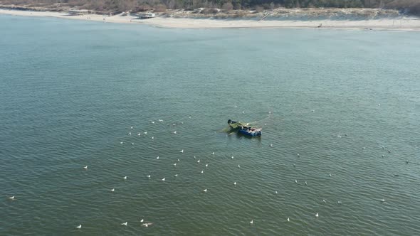 AERIAL: Flock of Gulls Surrounds Fishermans in Blue Colour Boat Casting Nets Near Baltic Sea Shore