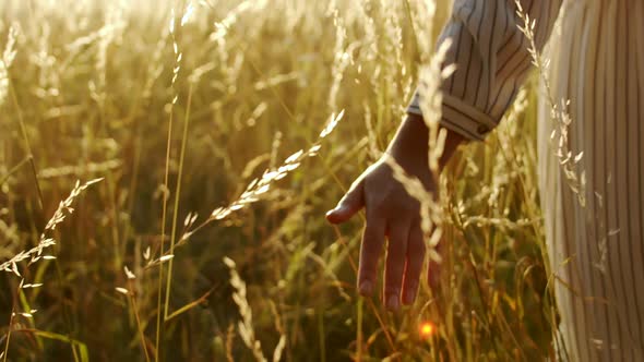 Woman Touching Grass on Sunset