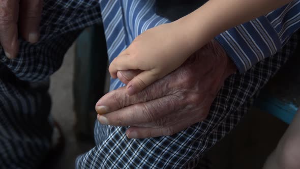 The Hand of a Small Child Gently Touches the Hand of an Old Man