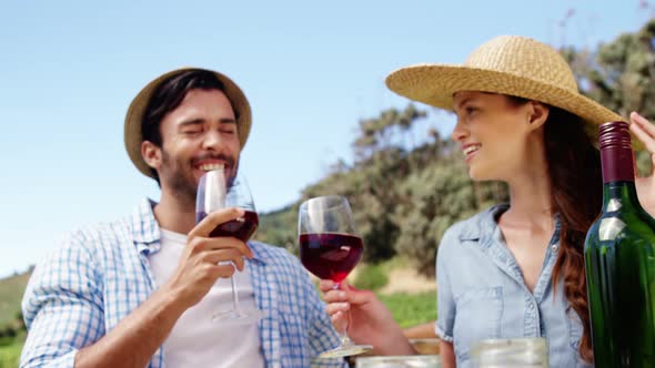 Couple toasting wine glasses in the farm