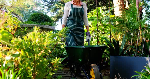 Mature woman pushing a wheelbarrow