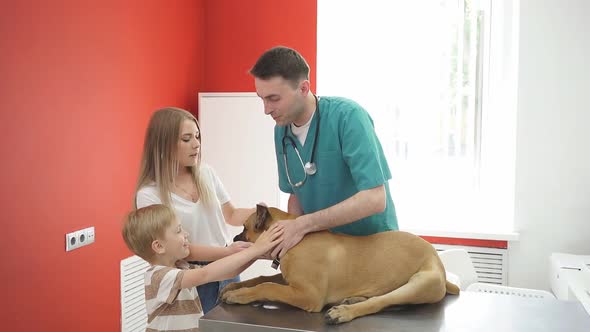 Family with Dog Came To Vet for Annual Examining.
