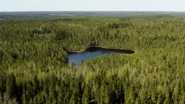 Aerial view overlooking a small pond, bright, sunny day, in Helvetinjarvi kansallispuisto, Ruovesi,