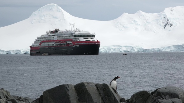 Penguins in Antarctica. Global warming and wildlife.  Penguins standing on the rocks.