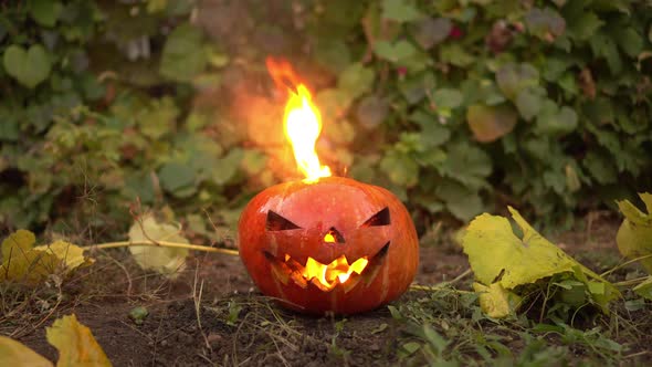 Halloween Pumpkin Burns with Real Fire