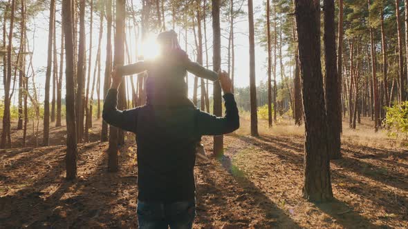 Dad with His Little Son Walk in a Pine Forest