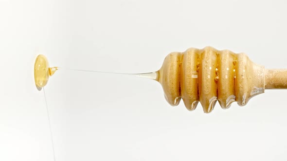 Honey Dripping to a Honey Dipper