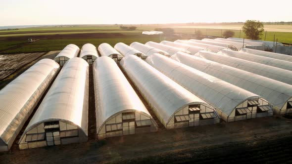 Flying Over a Large Greenhouse with Vegetables a Greenhouse with a Transparent Roof a Greenhouse