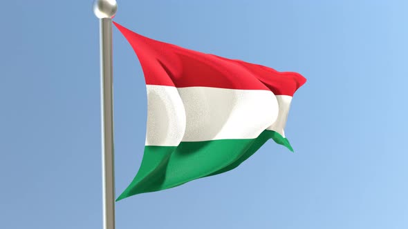 Hungarian flag on flagpole.