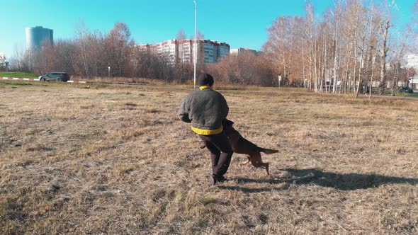 A Trained Dog Clenched Teeth on Trainer Arm and They Spinning Around