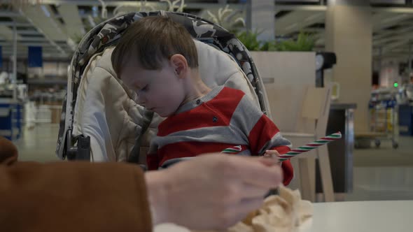 Mom feeds a little boy in a stroller with ice cream in a cafe alt